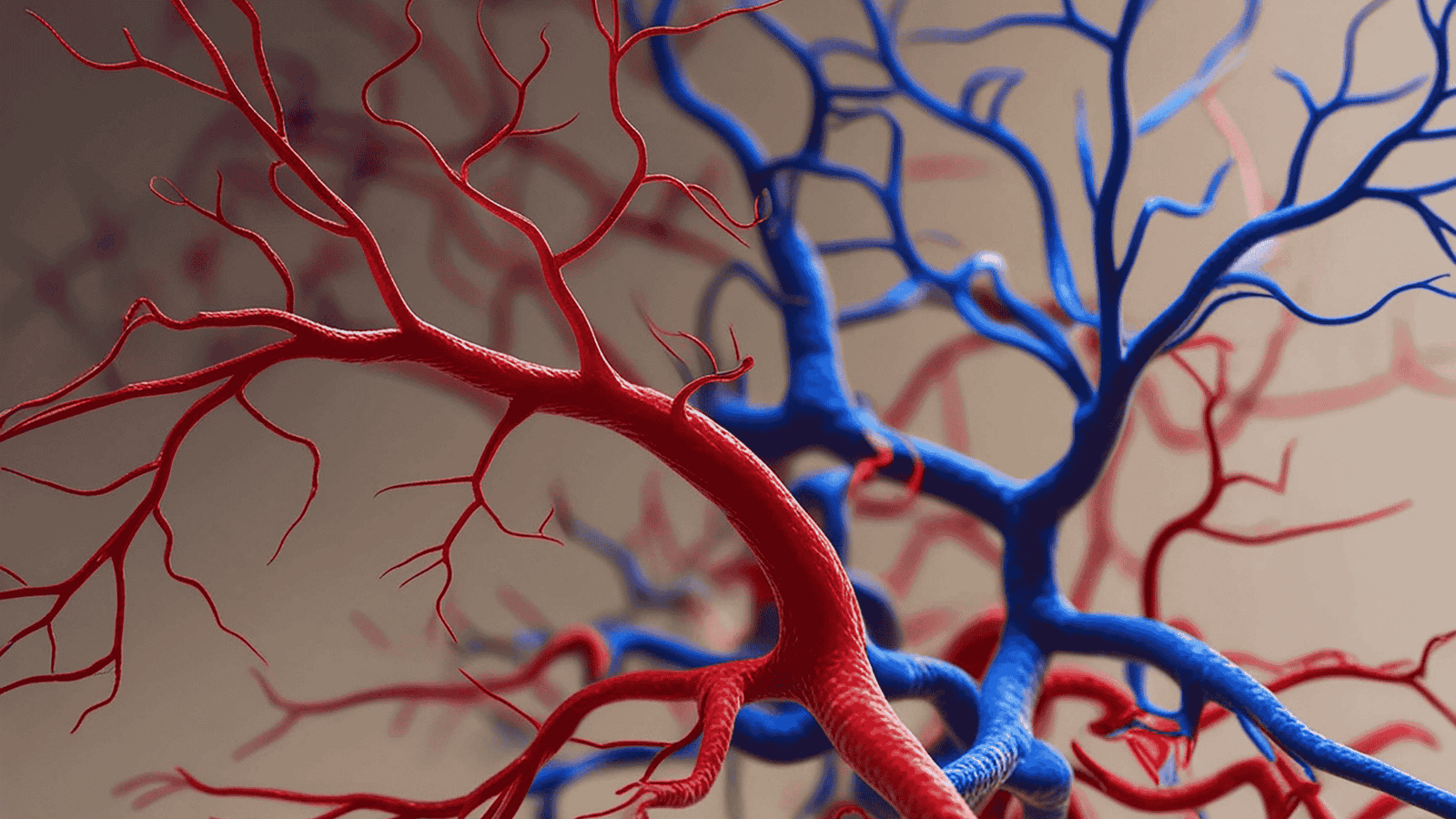 Doença Carotídea em Pacientes Cardíacos: Risco de AVC | Dr. Leonardo Pacheco | Angiologista